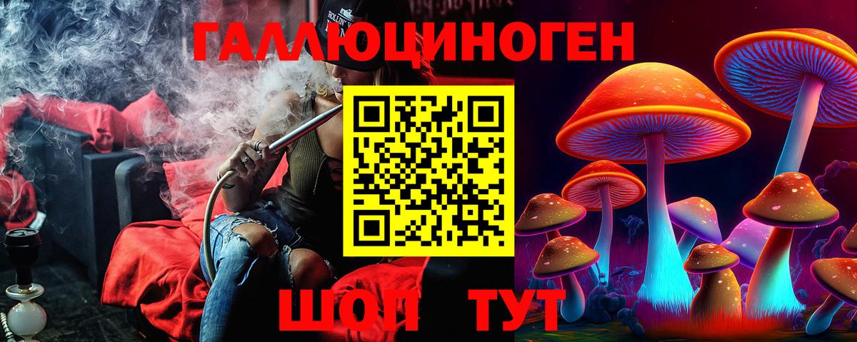 Галлюциногенные грибы Psilocybine cubensis Алушта