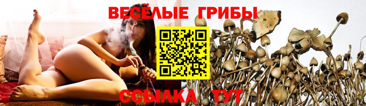 цена   Вход с VPN  Псилоцибиновые грибы Psilocybine cubensis  Алушта  Псилоцибиновые грибы Psilocybe 